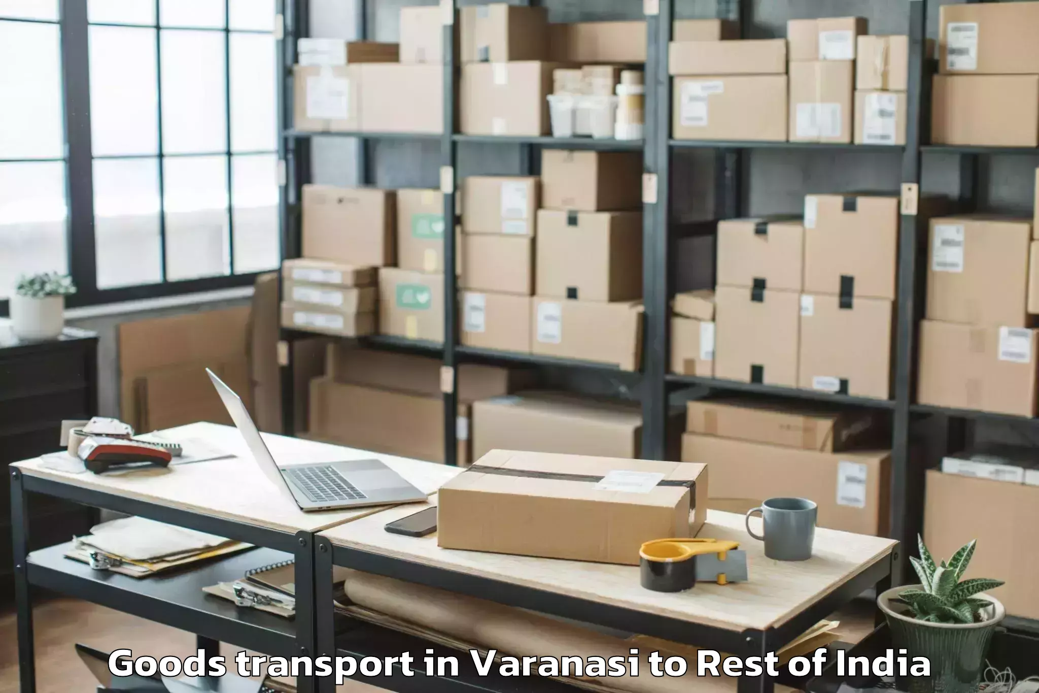 Quality Varanasi to Coconat Island Goods Transport